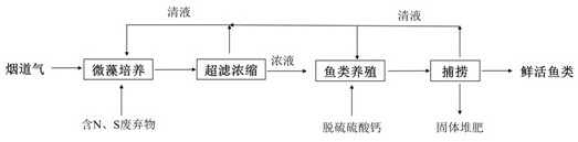 一种将烟道气中CO2转化为有机物的生物方法