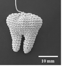 一种编织的生物牙根及其构建方法