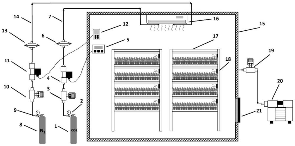 促进植物生长的气调系统及其控制方法与流程