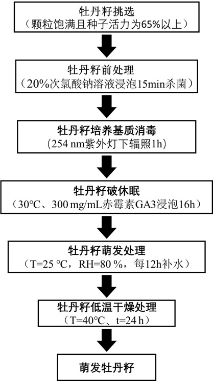 一种萌发牡丹籽制备方法与应用