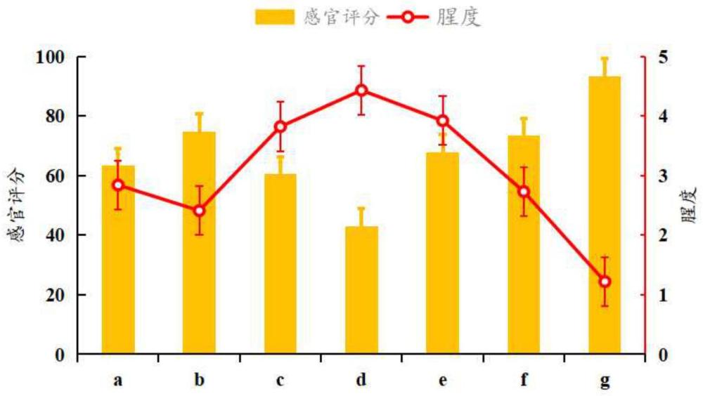 一种提高免疫力的益生菌海参肽粉及其制备方法