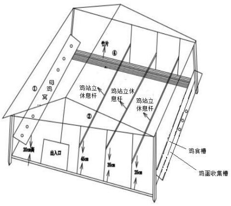 一种短瓣食用晏红玫瑰花饲养的玫瑰鸡养殖方法与流程