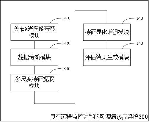 具有远程监控功能的风湿病诊疗系统及方法