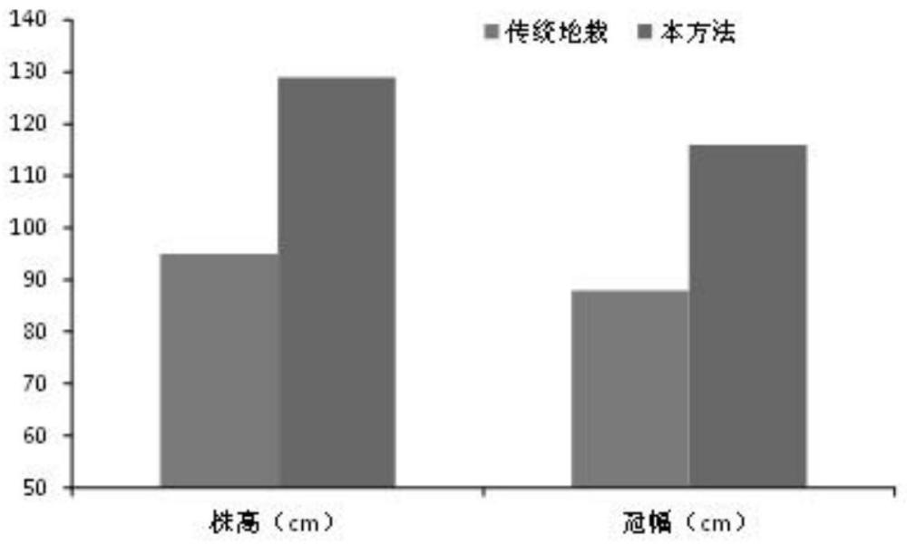 一种南方酸性土地区蓝莓种植园分区高效栽培方法与流程