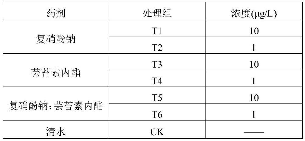 一种茶树苗的壮苗营养剂及其应用的制作方法