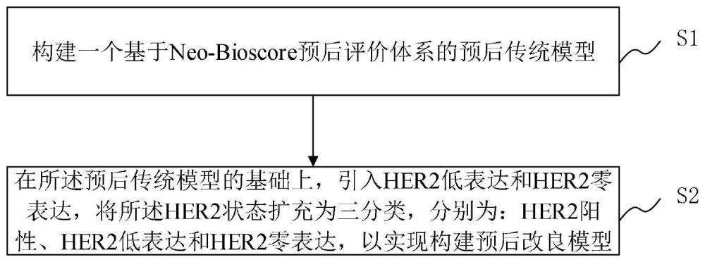 新辅助化疗后乳腺癌预后改良模型构建方法、系统及预后系统