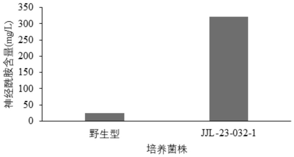 一种含神经酰胺和D型氨基酸的具有抗衰功效的复合红茶发酵液的制作方法