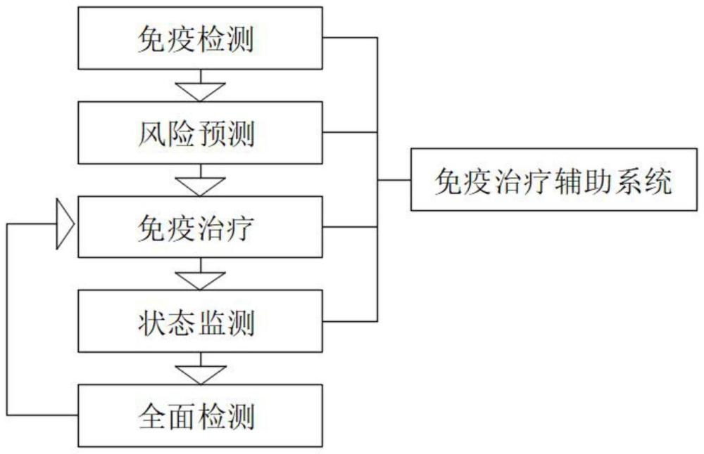 一种基于免疫疗法的肿瘤治疗方法与流程