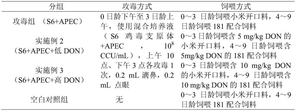 呕吐毒素介导的雏鸡腺肌胃炎动物模型的建立的制作方法