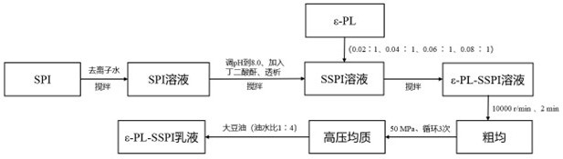 一种ε-聚赖氨酸提高琥珀酰化大豆分离蛋白乳化特性的方法