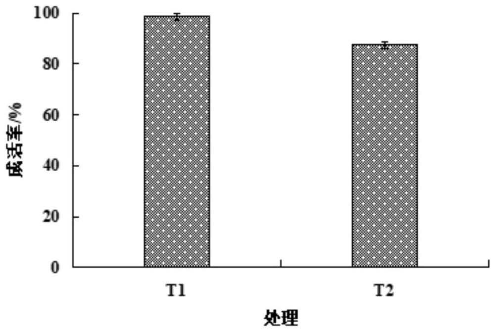 一种培育油茶容器壮苗的基质及其制备工艺