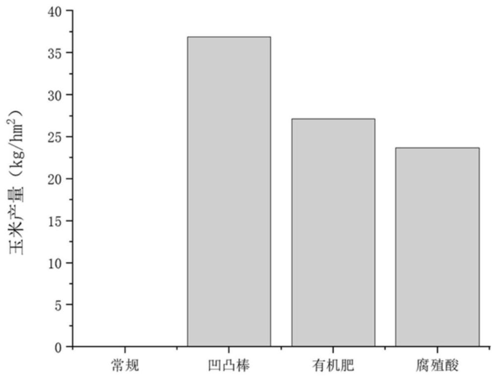 一种提高强酸性土壤上玉米氮肥吸收利用的凹凸棒土与氮肥配施方法