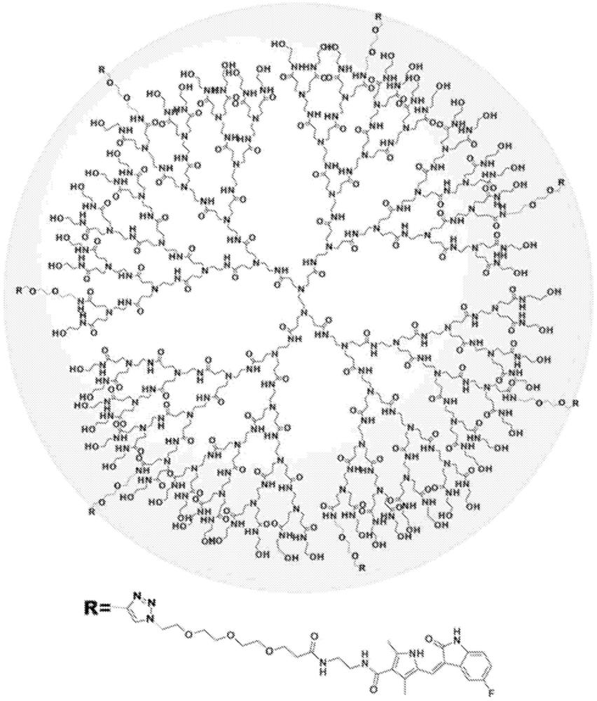树枝状体缀合物及其使用方法与流程