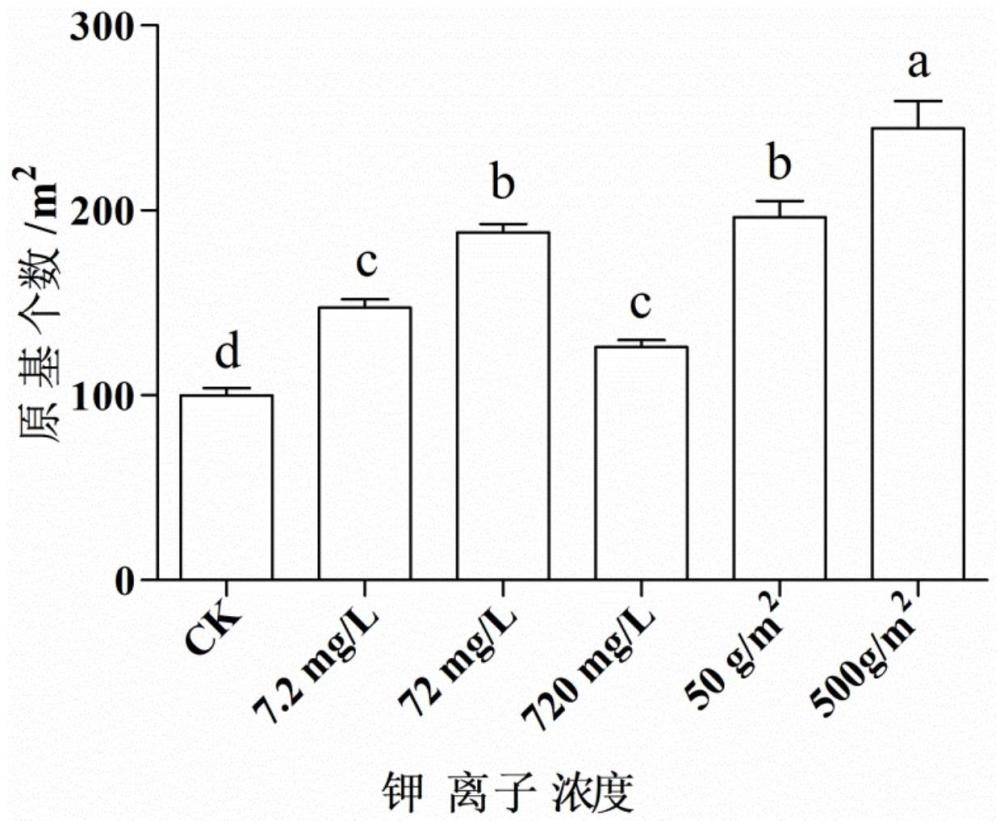 一种添加钾盐促进羊肚菌原基形成的方法