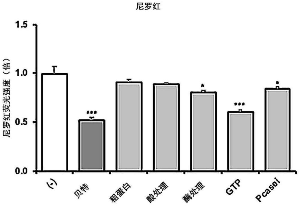 包含绿茶肽组合物的抗肥胖组合物的制作方法