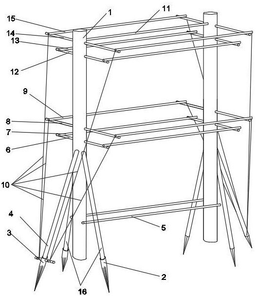 一种燕窝果日光温室双层立体栽培架的制作方法