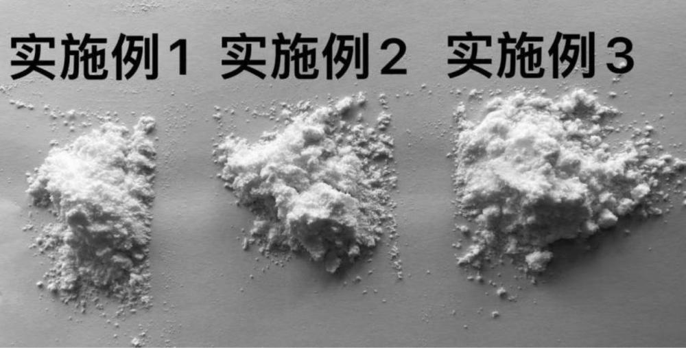 一种稻米油甘油二酯油粉末油脂及其制备方法和应用与流程