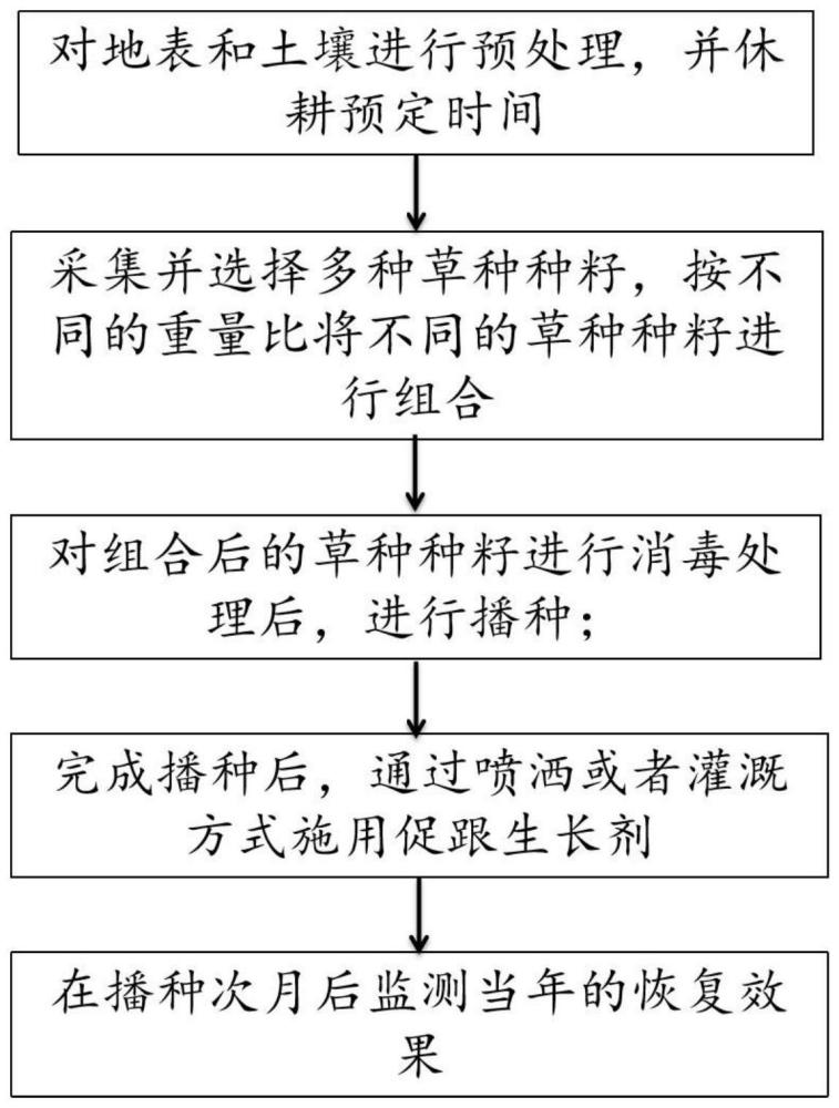 用于青藏高原高寒草地植被恢复的种籽搭配及其播种方法与流程