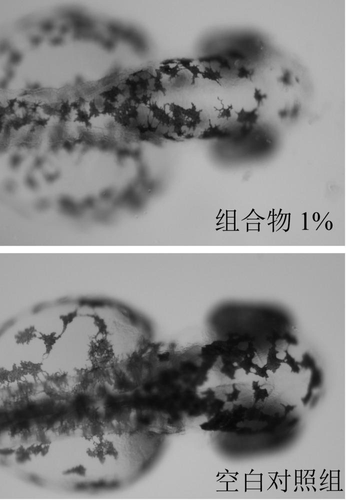 一种美白祛斑组合物、凝胶及其制备方法和应用与流程