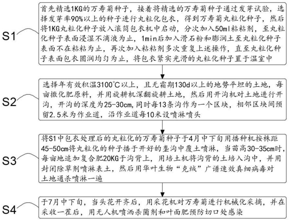 万寿菊种子丸粒化包衣技术和深垄沟直播种植技术的制作方法