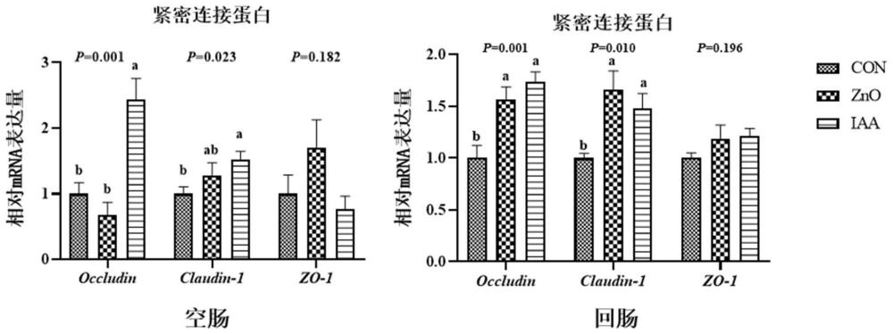 一种改善仔猪断奶应激和提高肠道健康的饲料及其应用