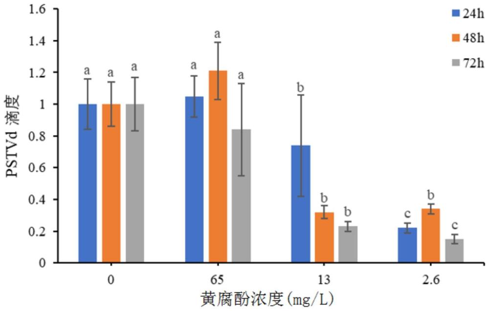 黄腐酚在抑制番茄中类病毒方面的应用