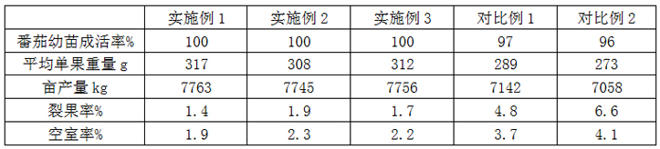 一种提高番茄可溶性固形物含量的栽培方法与流程