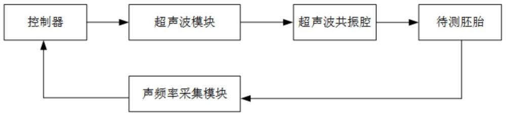 一种可进行胚胎异常发育检测的智能孵化系统及检测方法