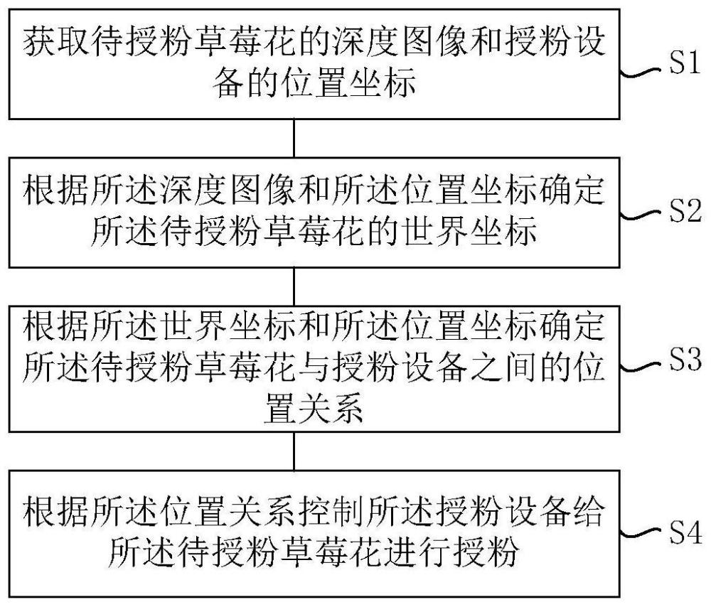 草莓花的自动授粉方法、装置、设备、介质和授粉设备