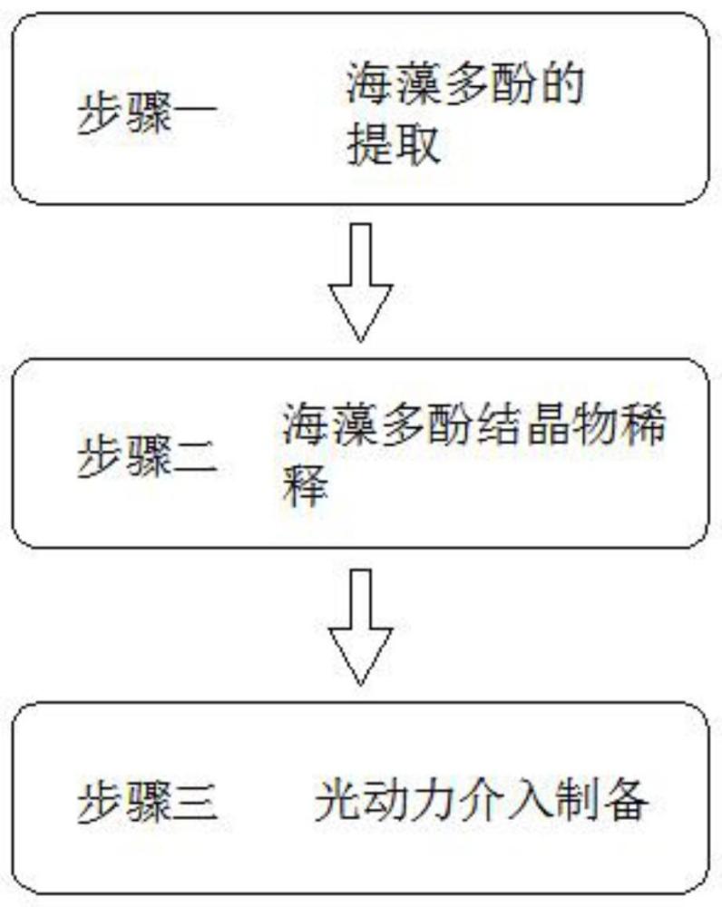 一种光动力介导海藻多酚保鲜剂的制备方法与流程