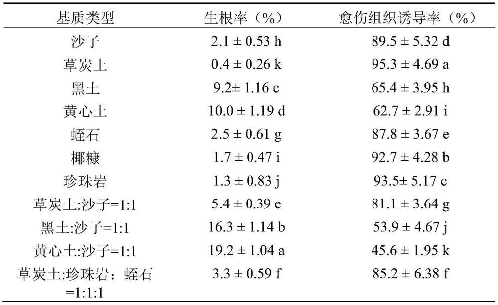 一种新型水曲柳与白蜡树种间杂种嫩枝扦插繁殖的方法