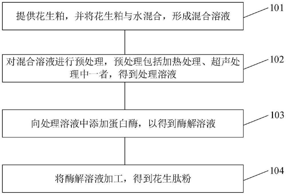 花生肽粉制备方法、调味料及调味料配制方法