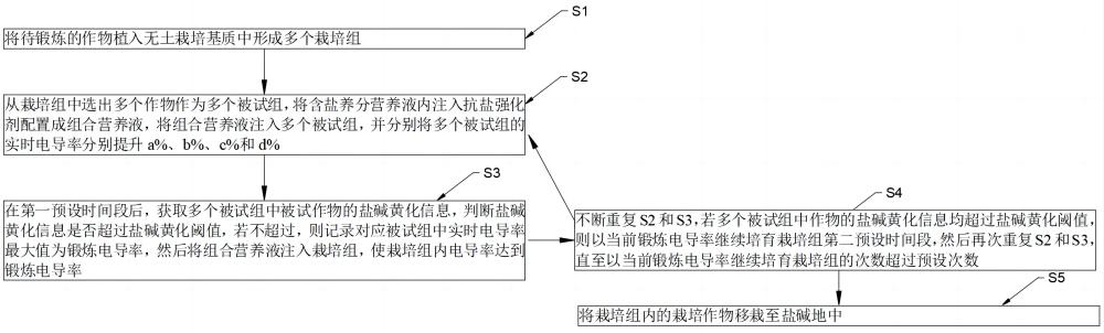 一种作物盐碱抗性锻炼方法及系统