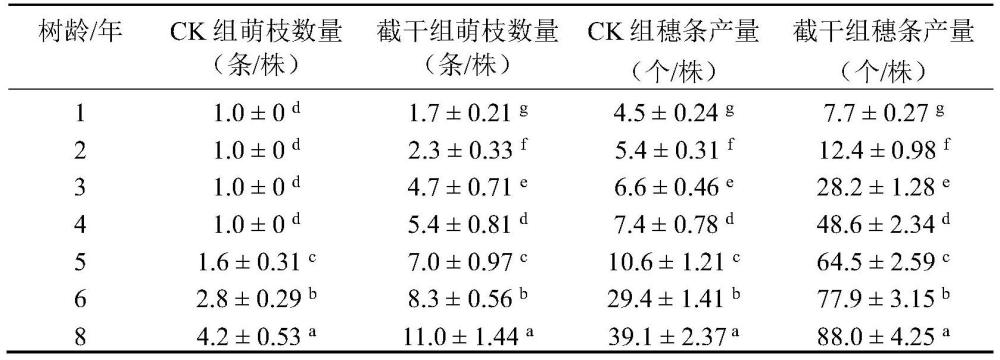 一种基于截干因素选择提高水曲柳穗条产量的方法