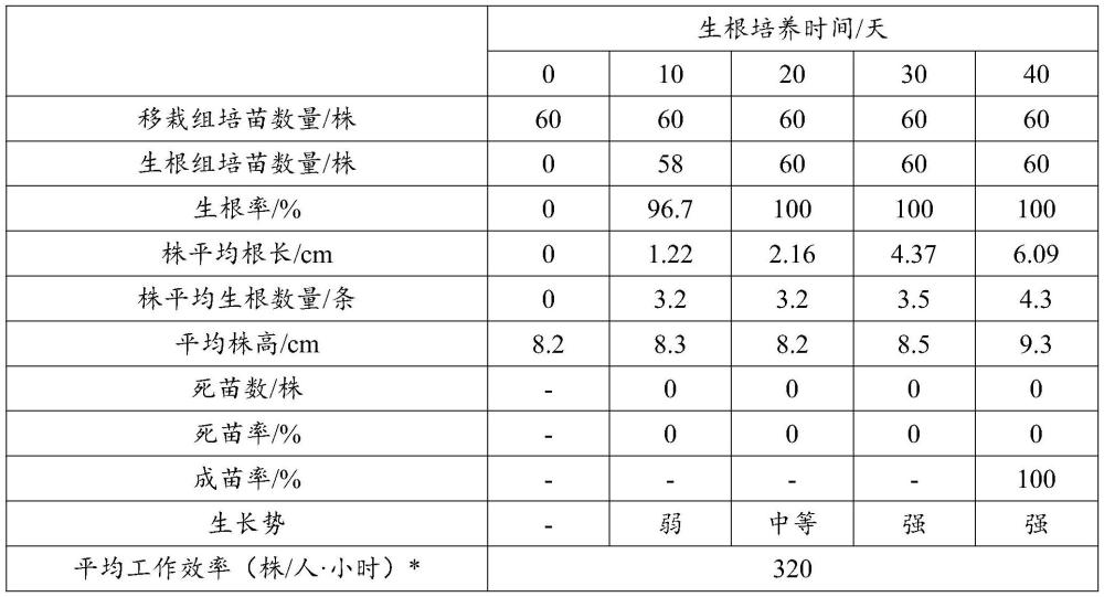 一种生根诱导培养基及其在诱导榛子继代组培苗生根中的应用的制作方法