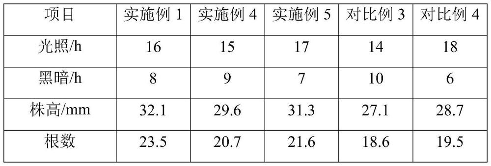 一种红景天及其离体培养繁殖方法与流程