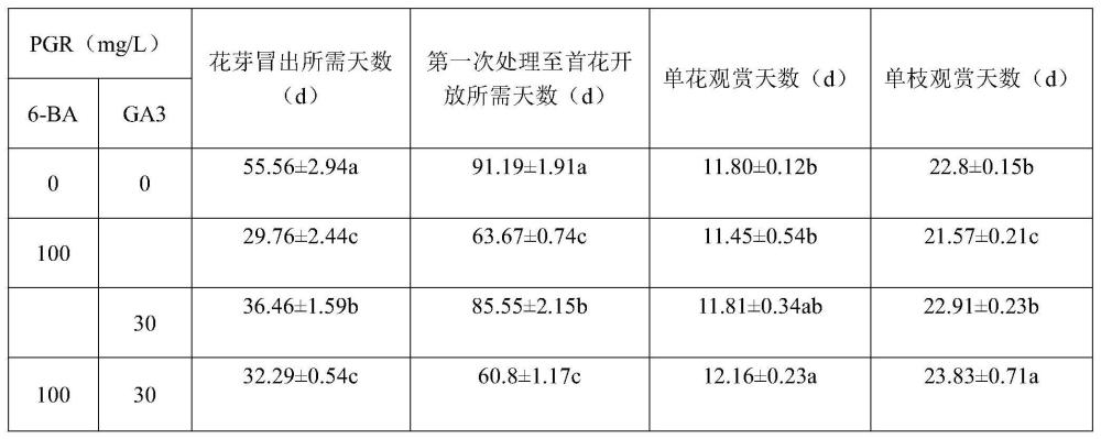 一种朱顶红专用栽培基质及其应用的制作方法