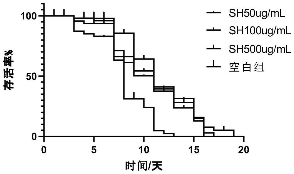 一种铁皮石斛可溶性膳食纤维及其提取方法和应用与流程