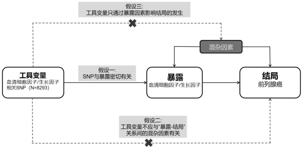 一种前列腺癌风险的评估方法