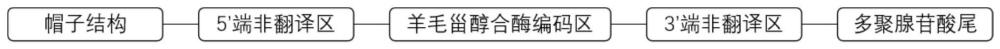 一种治疗白内障的生物制剂及其制备方法和应用与流程