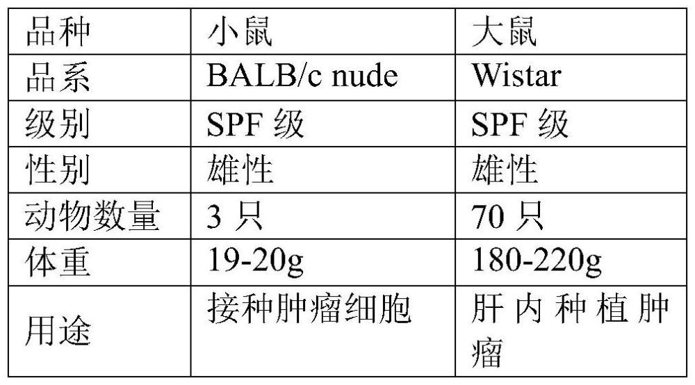 肝动脉灌注治疗肝癌的方法与流程