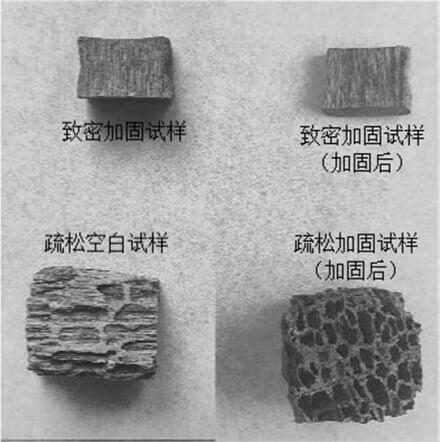 一种加固剂及利用该加固剂对饱水木质文物的加固方法与流程