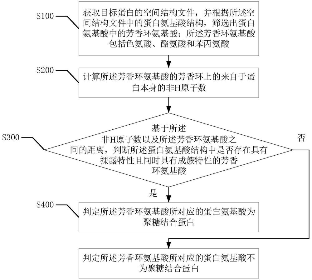 一种聚糖结合蛋白的预测方法、装置、系统及存储介质与流程