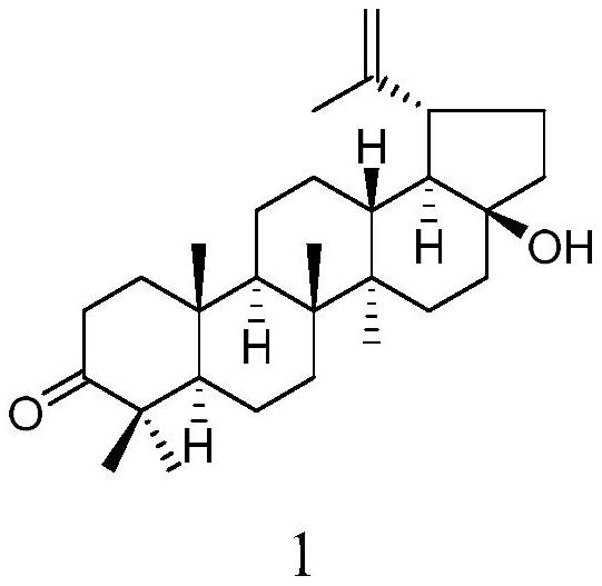 一种三萜类化合物在制备α-葡萄糖苷酶抑制剂中的应用的制作方法