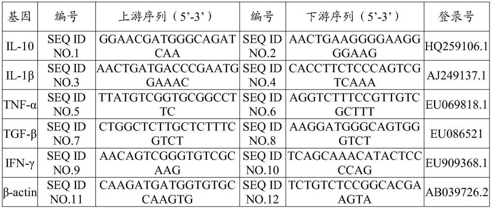 噬菌体制剂及其制备方法和应用