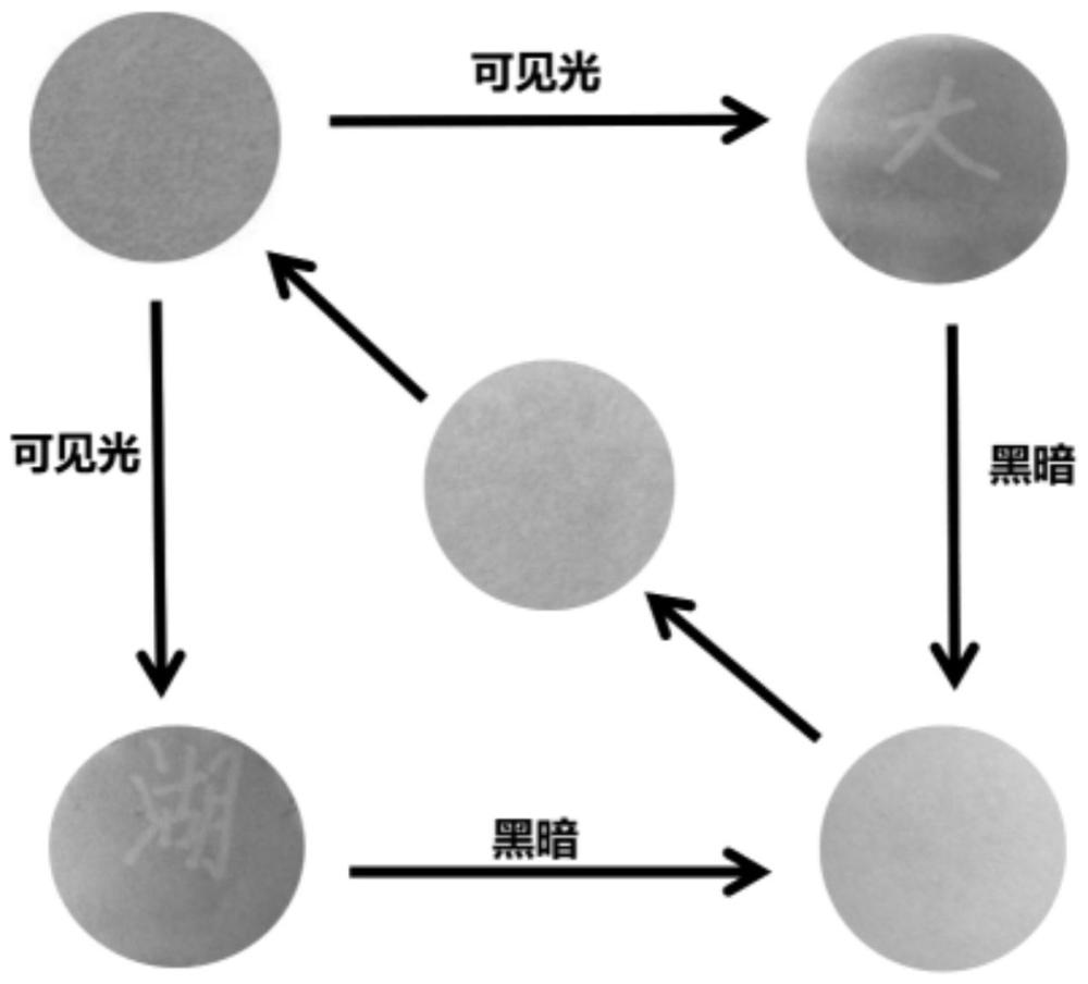 一种可循环使用的可见光打印纸制备方法及应用