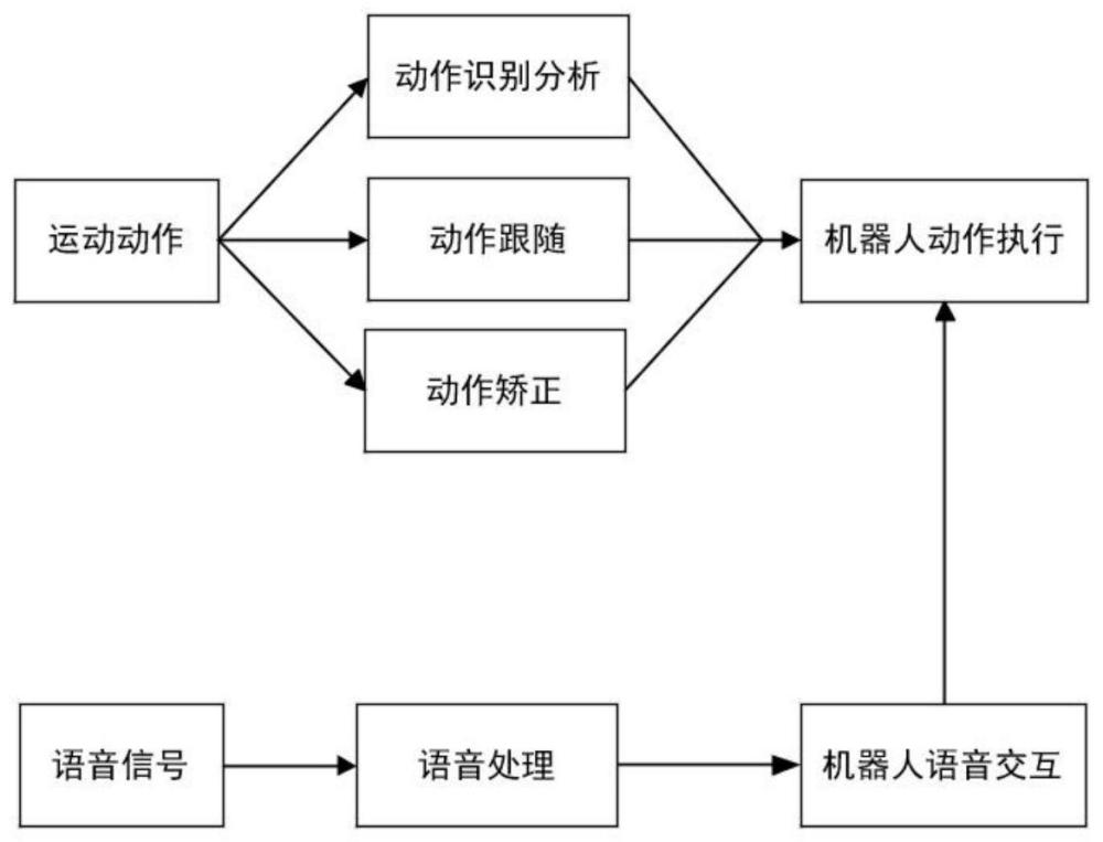 一种老年人的健康运动陪伴机器人