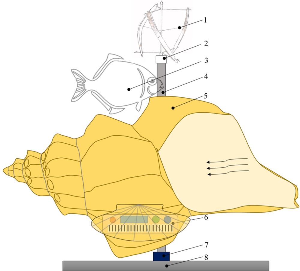 海风驱动的音乐互动海螺雕塑及其工作方法与流程