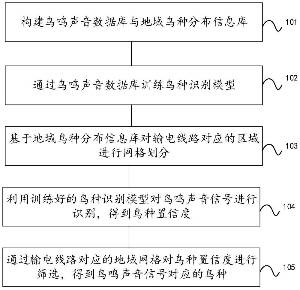 一种输电线路涉鸟隐患的鸟种识别方法及设备与流程