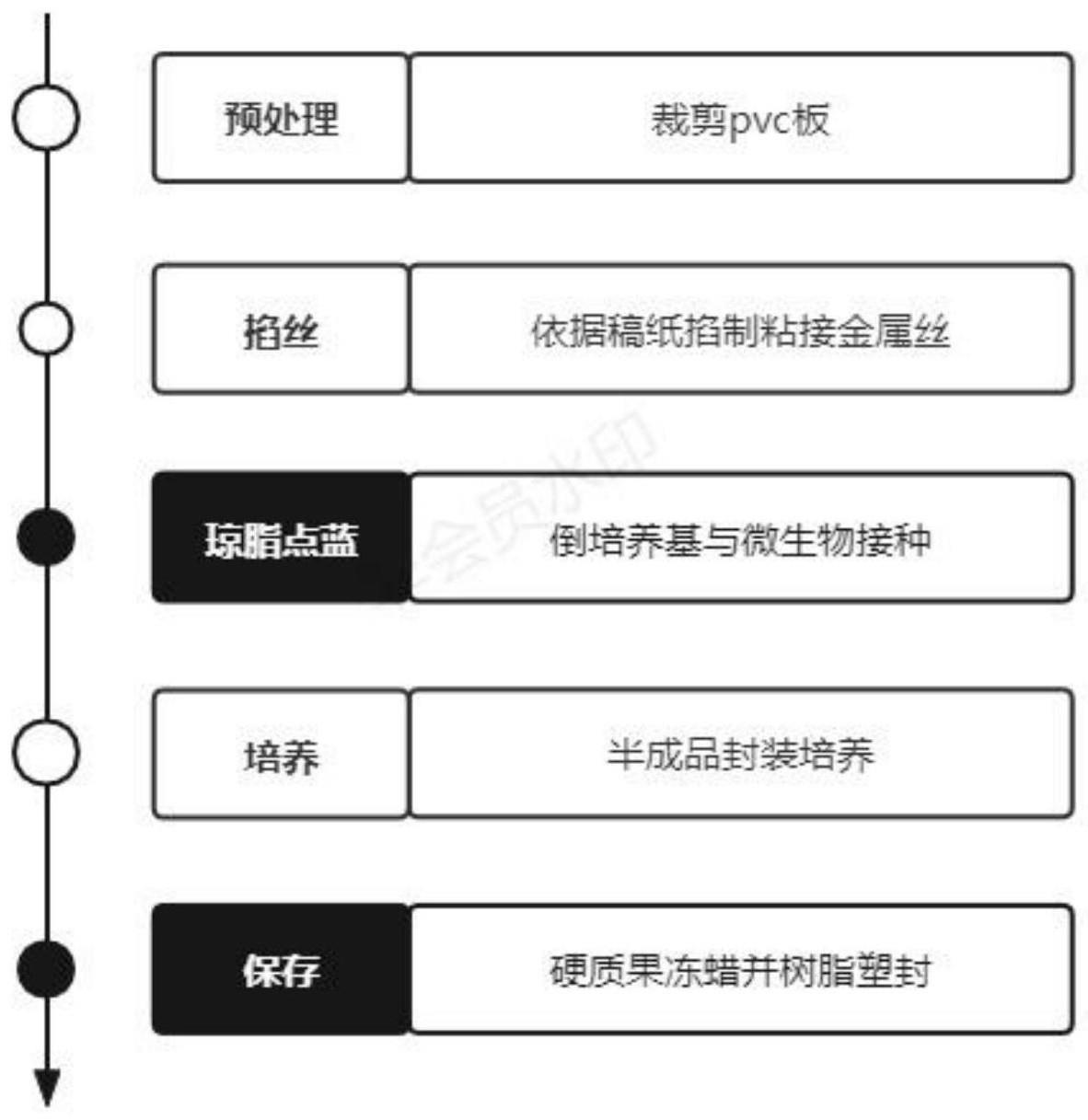 一种掐丝珐琅在微生物画中的应用及展示结构和制造方法